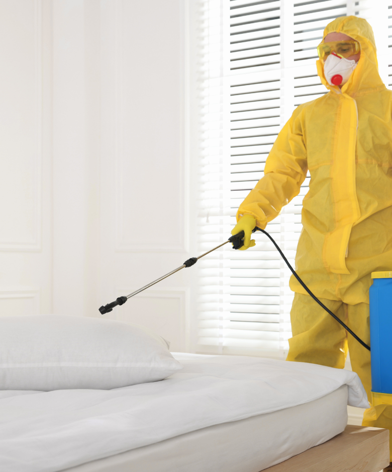 Professional Pest Control Team in Kensington